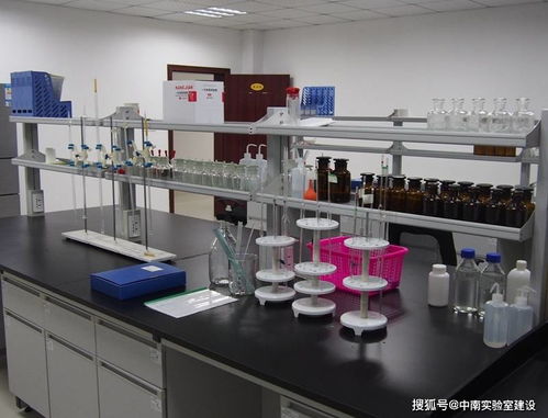 探索生命的奥秘 中南科学DNA实验玩具建设方案