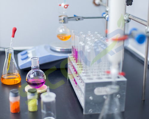 食品分子生物学实验室常用仪器，科学实验玩具升级玩法