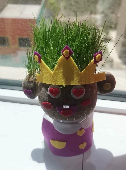 火星猪阳光房种植儿童水培盲盒玩具科学小实验套装植物生长观察盒